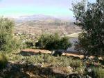 View from the house into the Axarquia